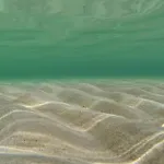 Sabunike V * Privlaka (Zadar)